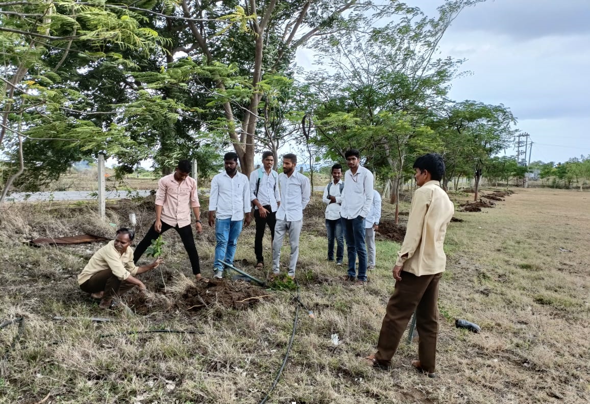 Tree Plantation Activity